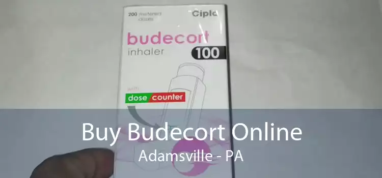 Buy Budecort Online Adamsville - PA