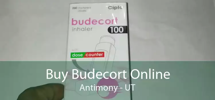 Buy Budecort Online Antimony - UT