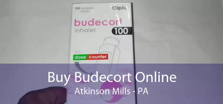 Buy Budecort Online Atkinson Mills - PA