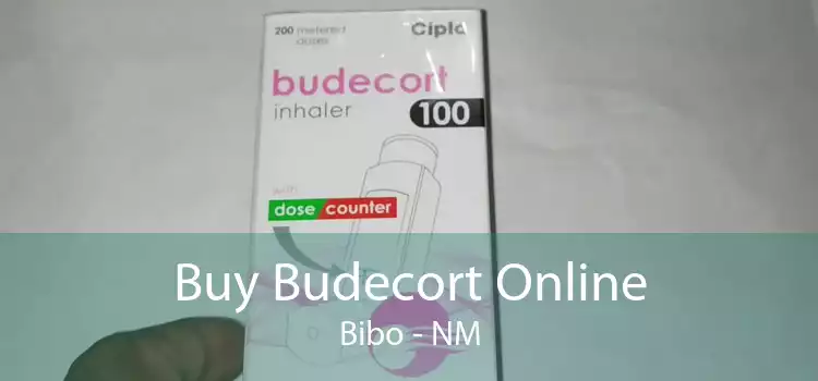 Buy Budecort Online Bibo - NM