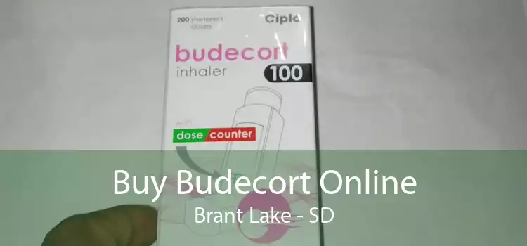 Buy Budecort Online Brant Lake - SD