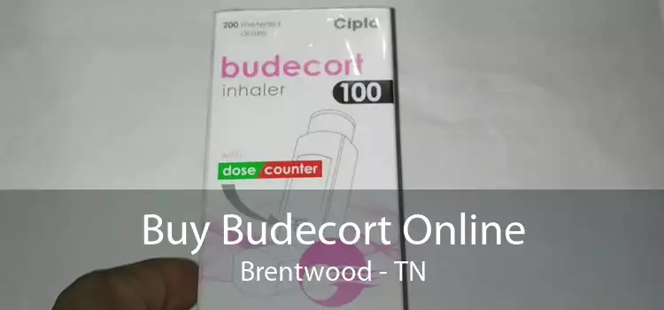 Buy Budecort Online Brentwood - TN