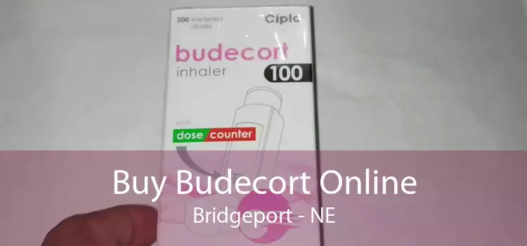 Buy Budecort Online Bridgeport - NE