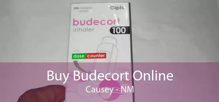 Buy Budecort Online Causey - NM