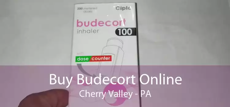 Buy Budecort Online Cherry Valley - PA