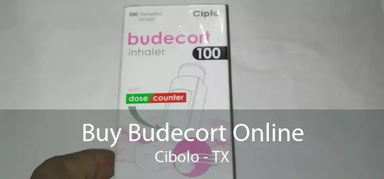 Buy Budecort Online Cibolo - TX