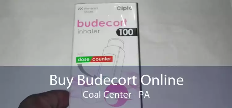 Buy Budecort Online Coal Center - PA