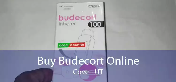 Buy Budecort Online Cove - UT