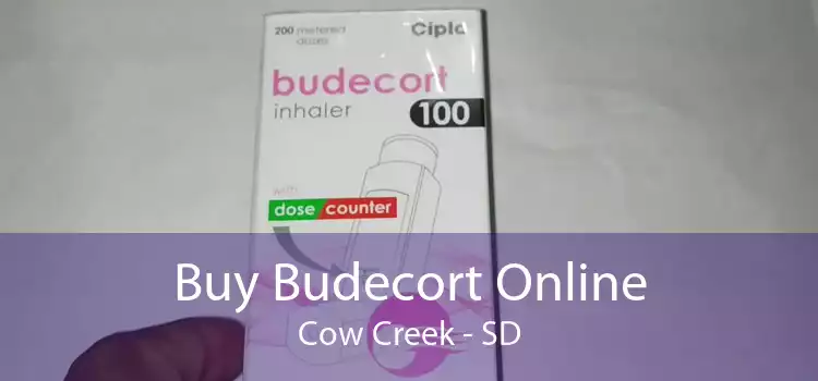 Buy Budecort Online Cow Creek - SD