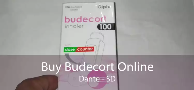 Buy Budecort Online Dante - SD