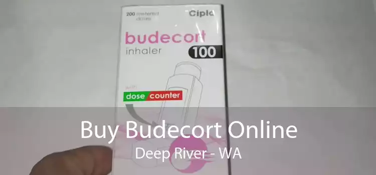 Buy Budecort Online Deep River - WA