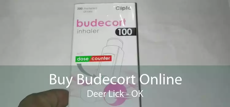 Buy Budecort Online Deer Lick - OK