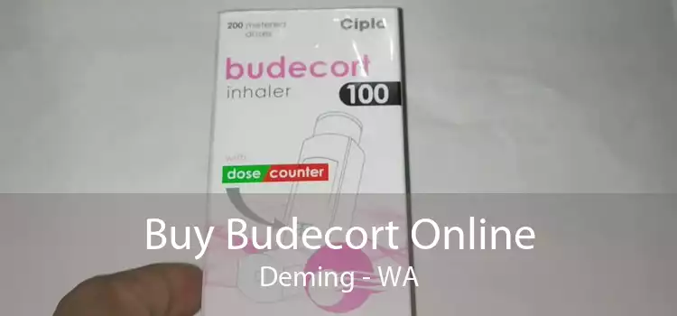 Buy Budecort Online Deming - WA