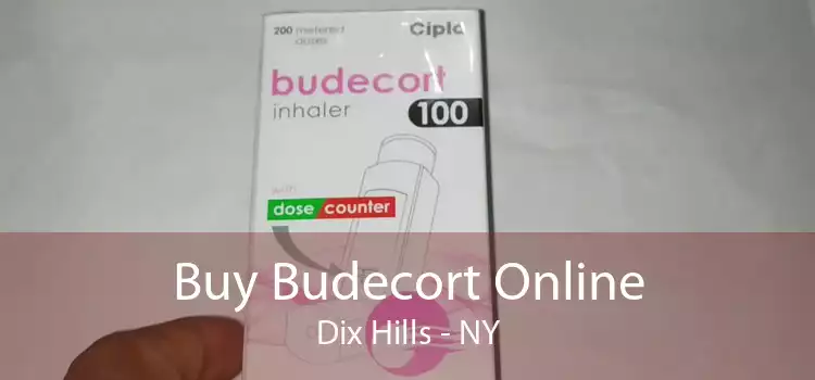 Buy Budecort Online Dix Hills - NY